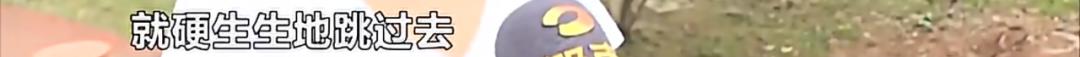 DƬ
